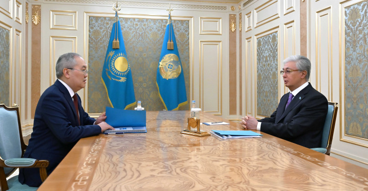 Касым-Жомарт Токаев принял председателя Агентства по финансовому мониторингу Жаната Элиманова
